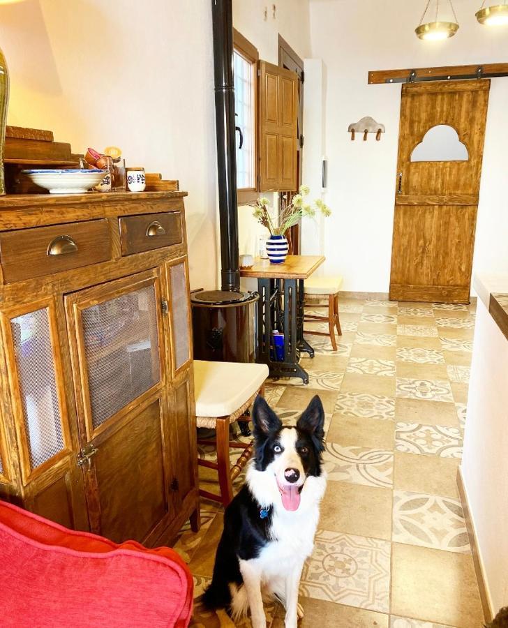 La Casilla Del San Anton Apartment Nijar Luaran gambar